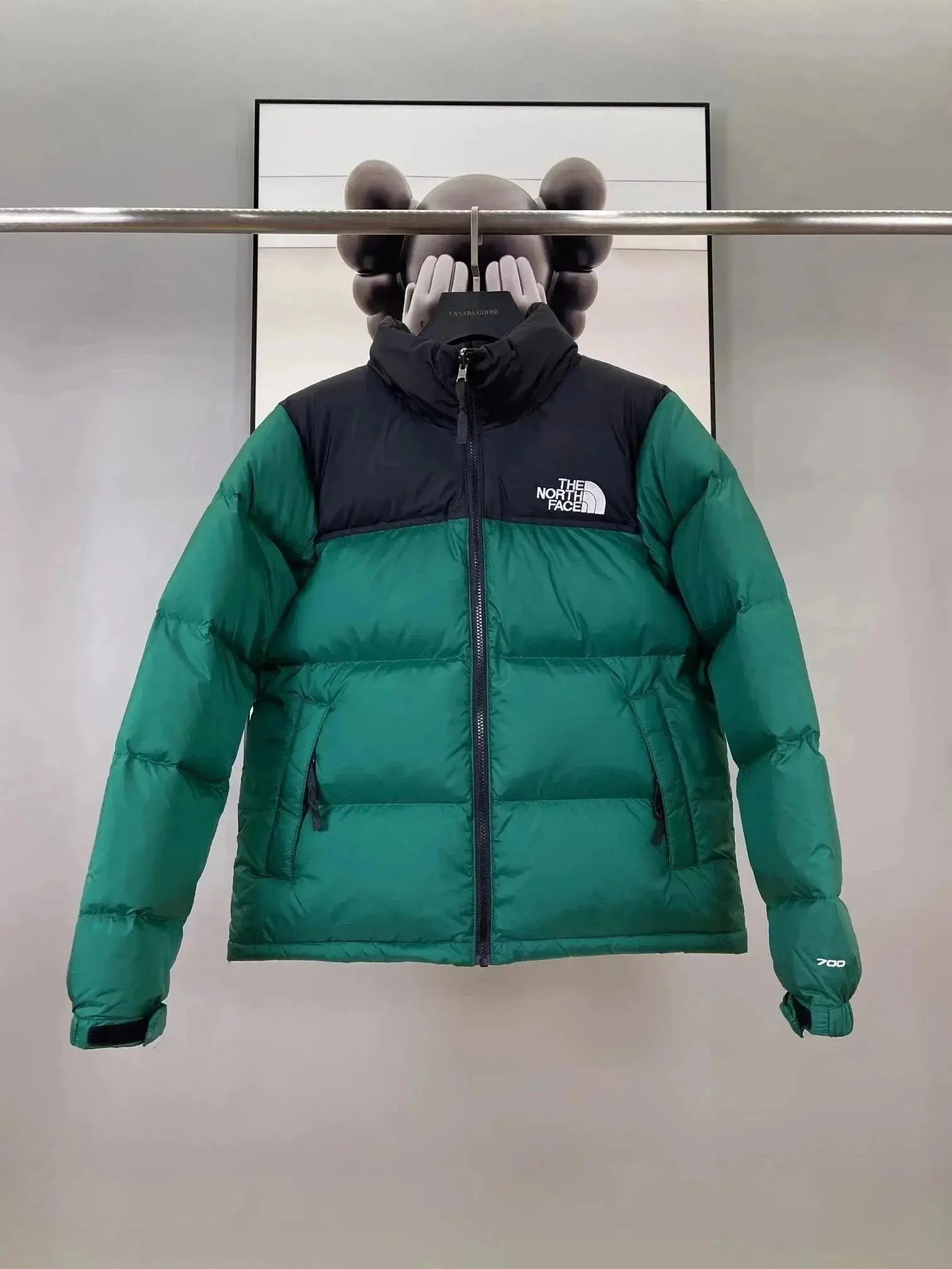 The North Face Down Jacket 2