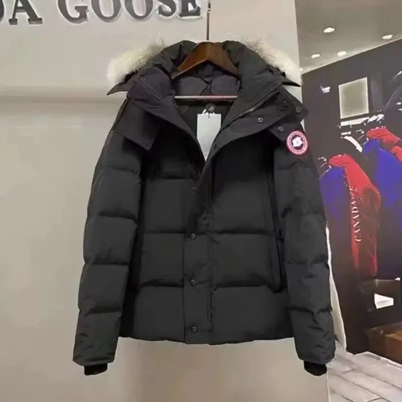 Canada goose Moncler Burberry jacket