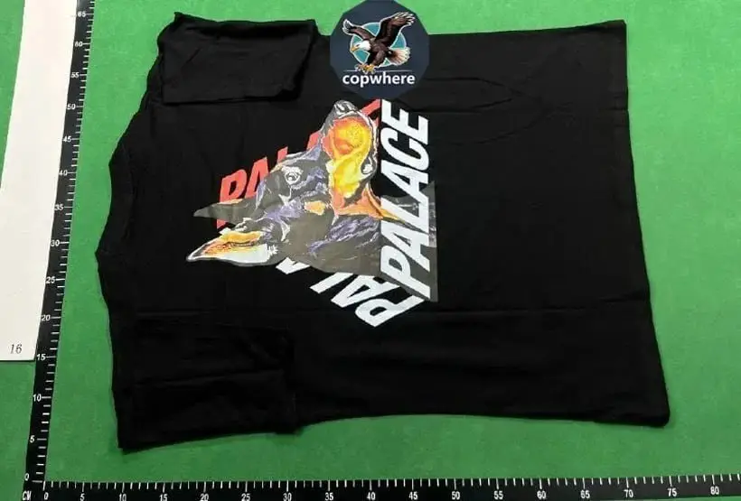 Palace T-shirt 2